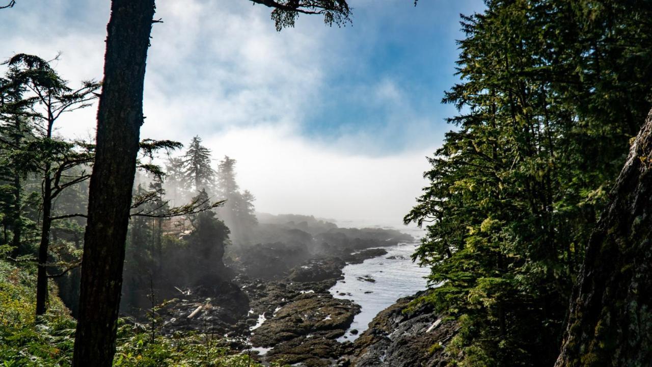 Odyssey Shores Guest Suite Ucluelet Eksteriør bilde