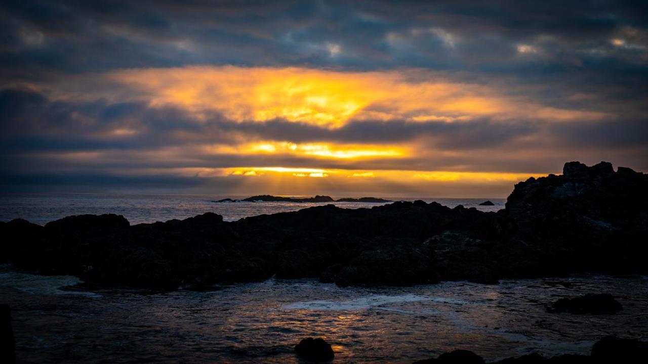 Odyssey Shores Guest Suite Ucluelet Eksteriør bilde