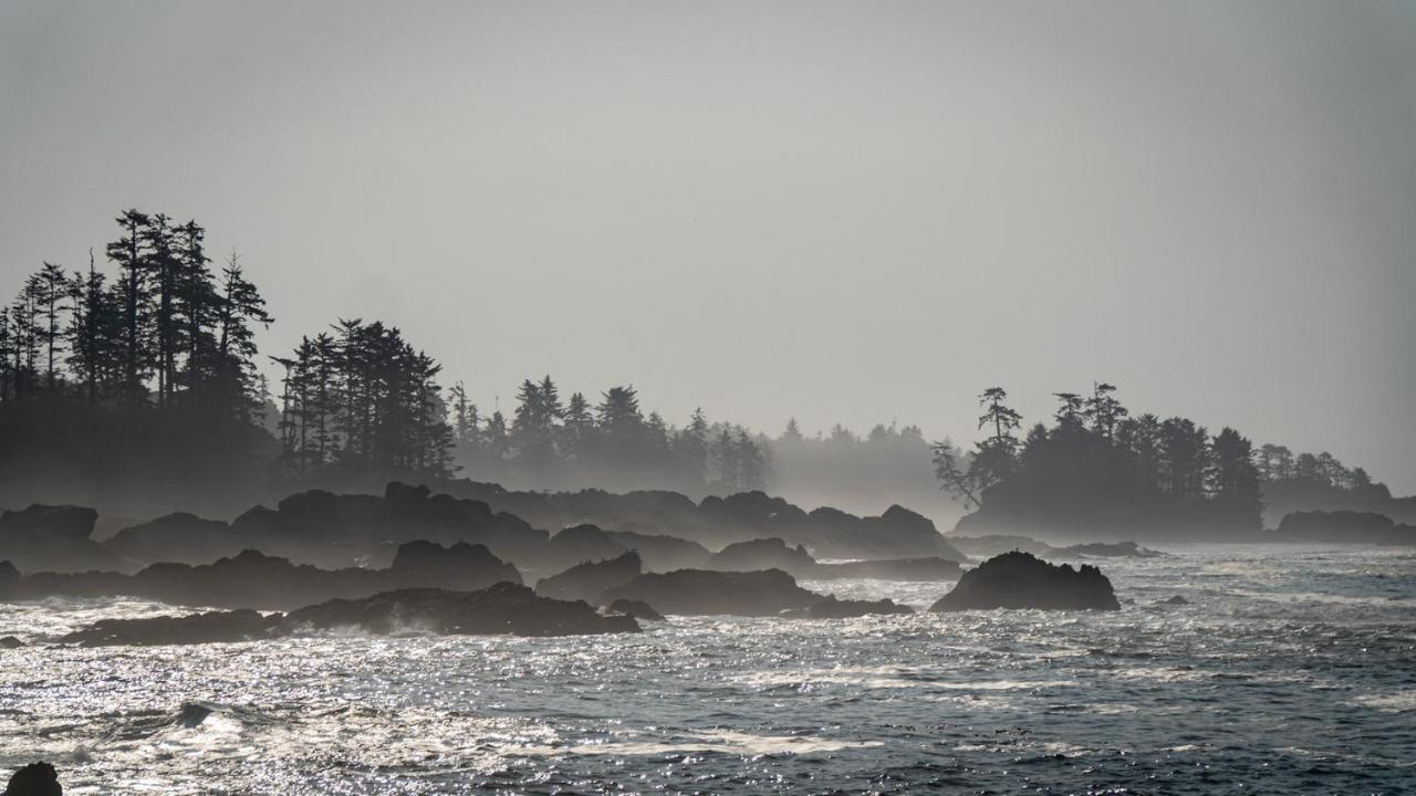 Odyssey Shores Guest Suite Ucluelet Eksteriør bilde