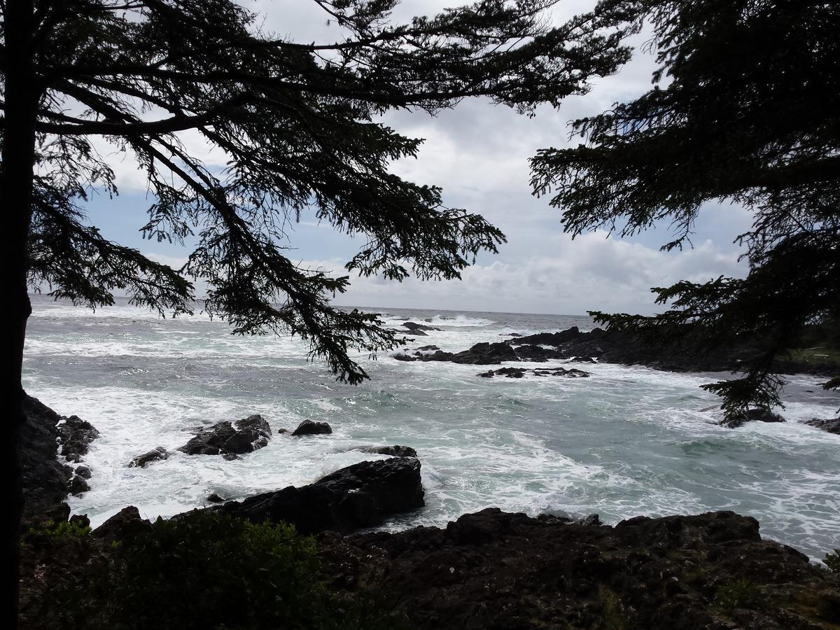 Odyssey Shores Guest Suite Ucluelet Eksteriør bilde