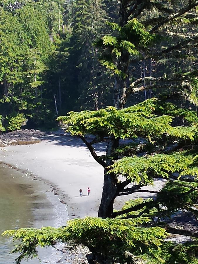 Odyssey Shores Guest Suite Ucluelet Eksteriør bilde