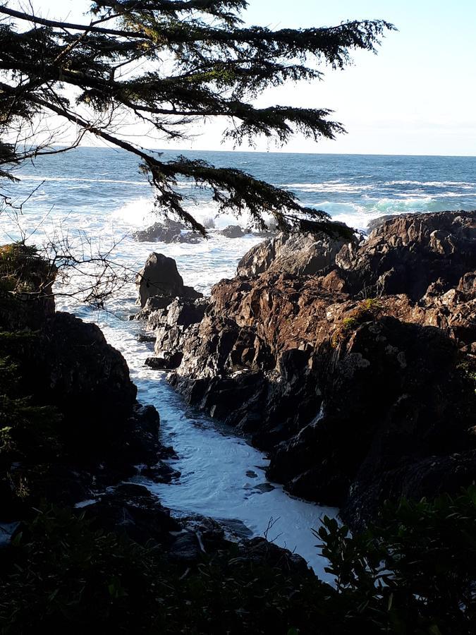 Odyssey Shores Guest Suite Ucluelet Eksteriør bilde