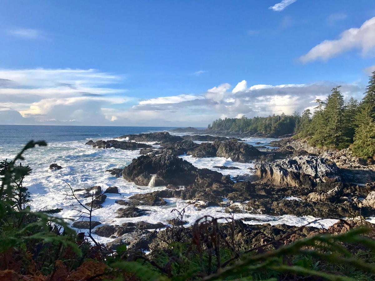 Odyssey Shores Guest Suite Ucluelet Eksteriør bilde