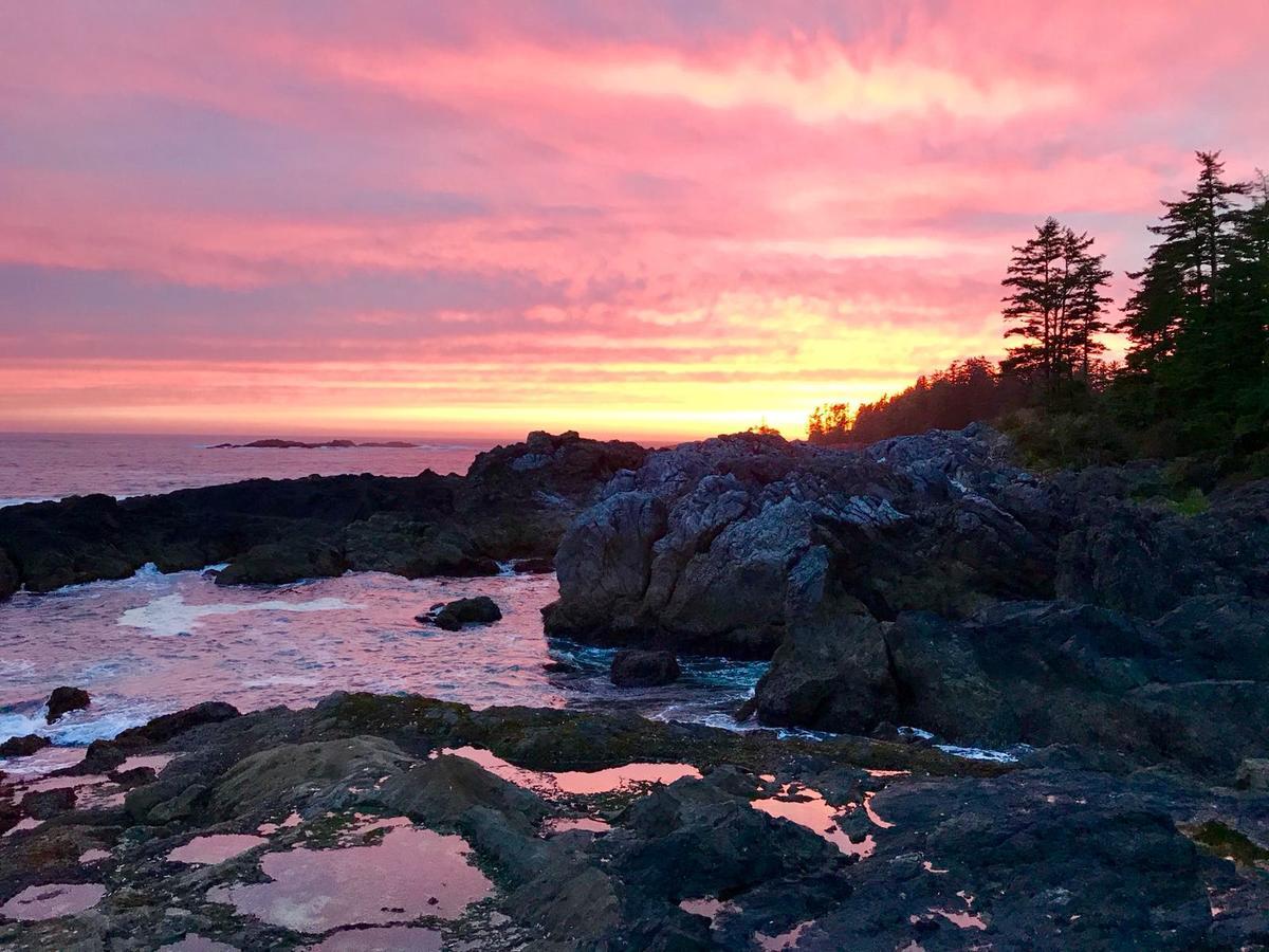 Odyssey Shores Guest Suite Ucluelet Eksteriør bilde