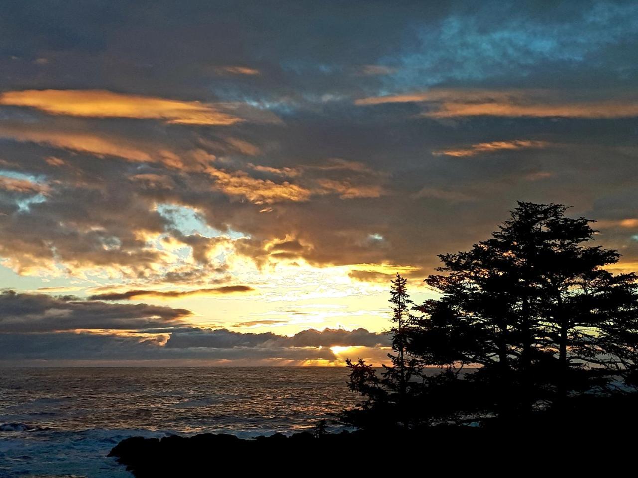 Odyssey Shores Guest Suite Ucluelet Eksteriør bilde